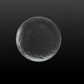 Plate Size 20.5 CM