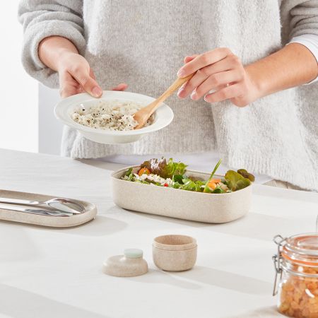 Single Lunchbox To Go Organic