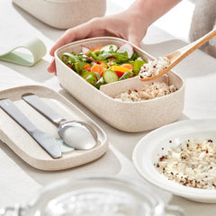 Single Lunchbox To Go Organic