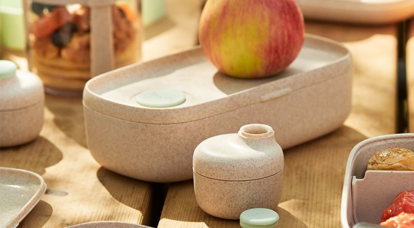 Sauce container Organic