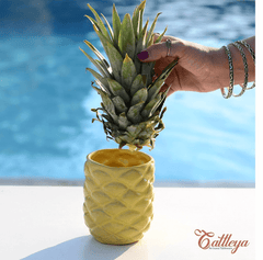 Piña pottery cup