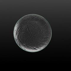 Plate Size 20.5 CM