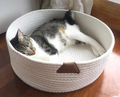 Cozy Scratching Pet Bed